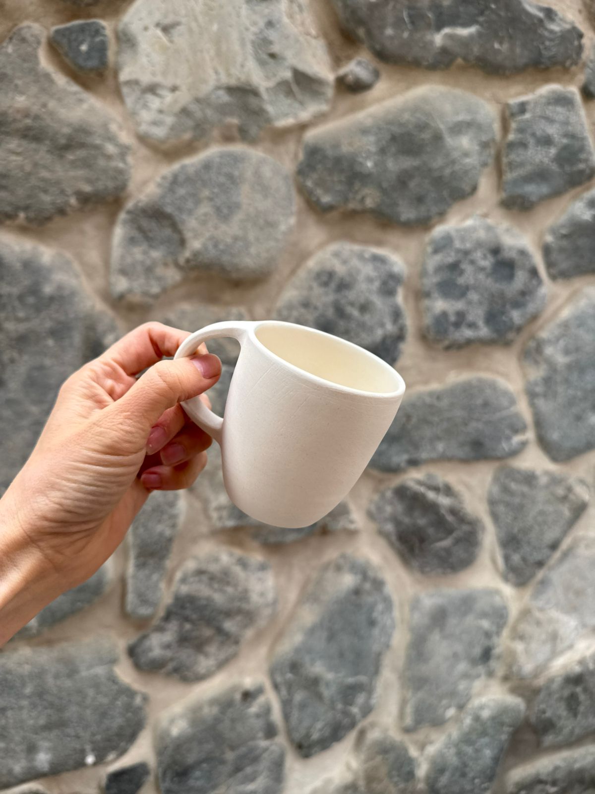 Taza BRISA