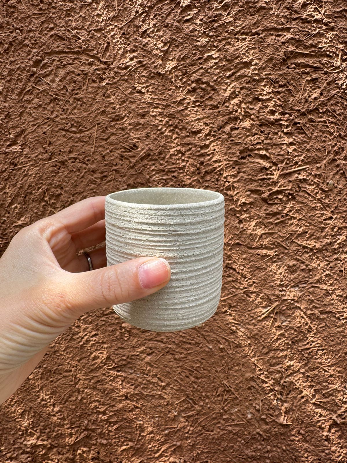 Vasito AVELLANA