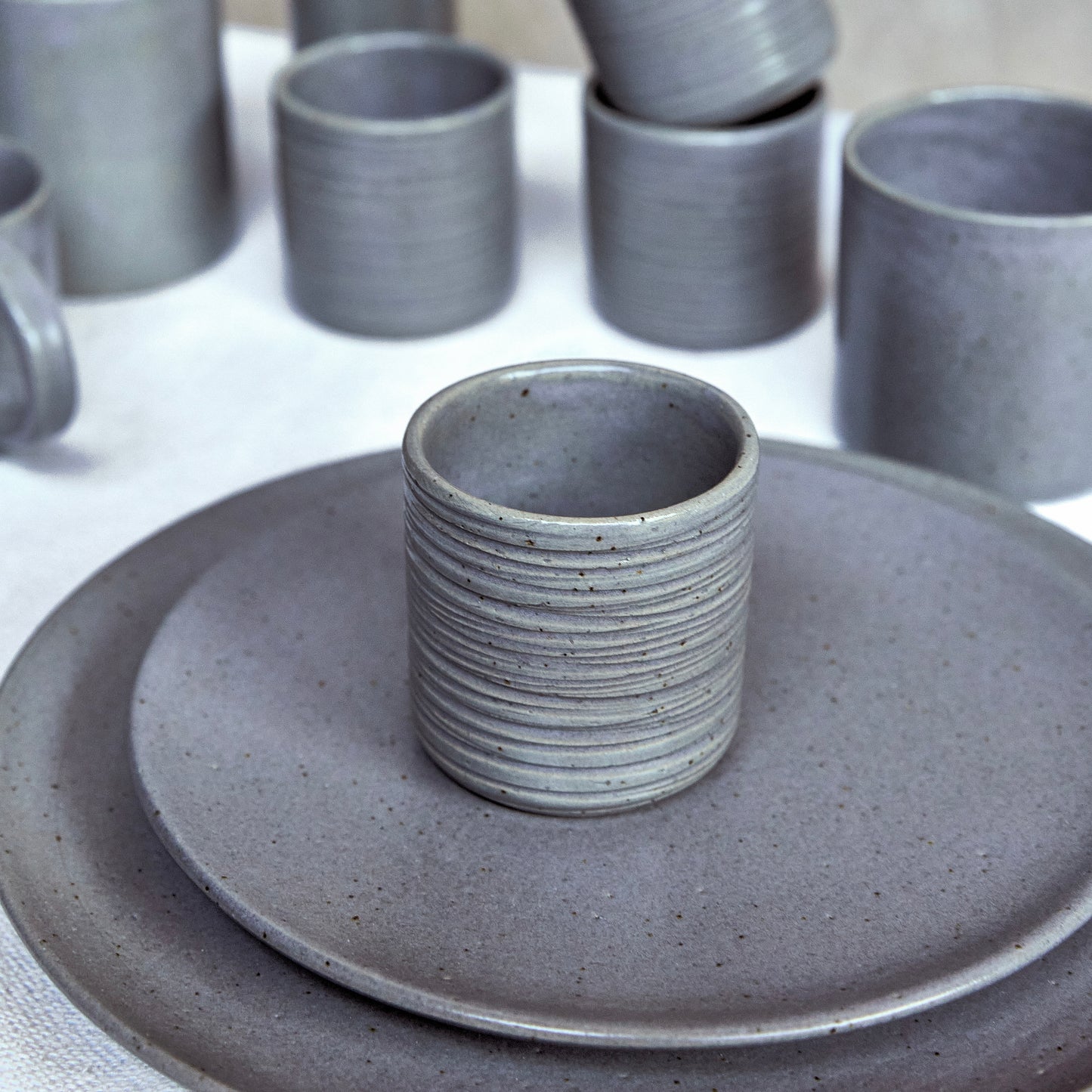 Plato tendido AIDA