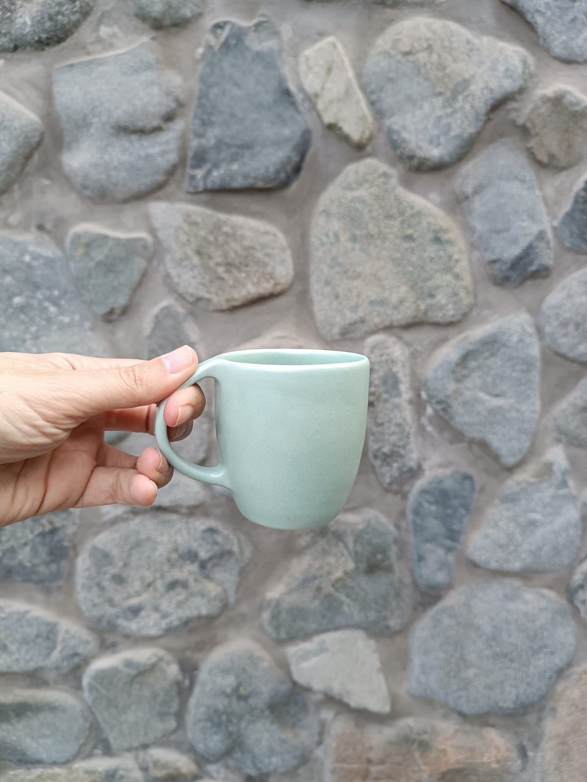 Taza BRISA